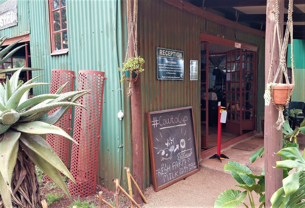MabudaCoffee Farm, Siteki, Swaziland